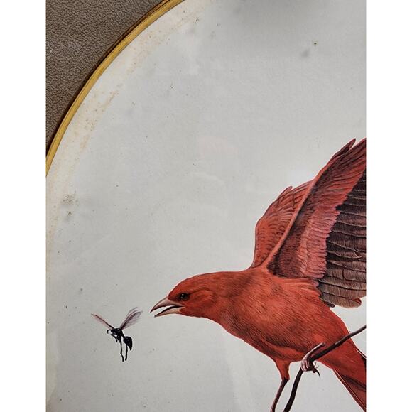 Signed Ray Harm “Summer Tanager” Lithograph – Vintage Framed Wildlife Art - 1963 - Picture 3 of 9